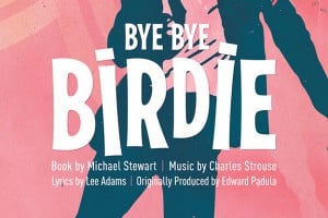 Bye Bye Birdie